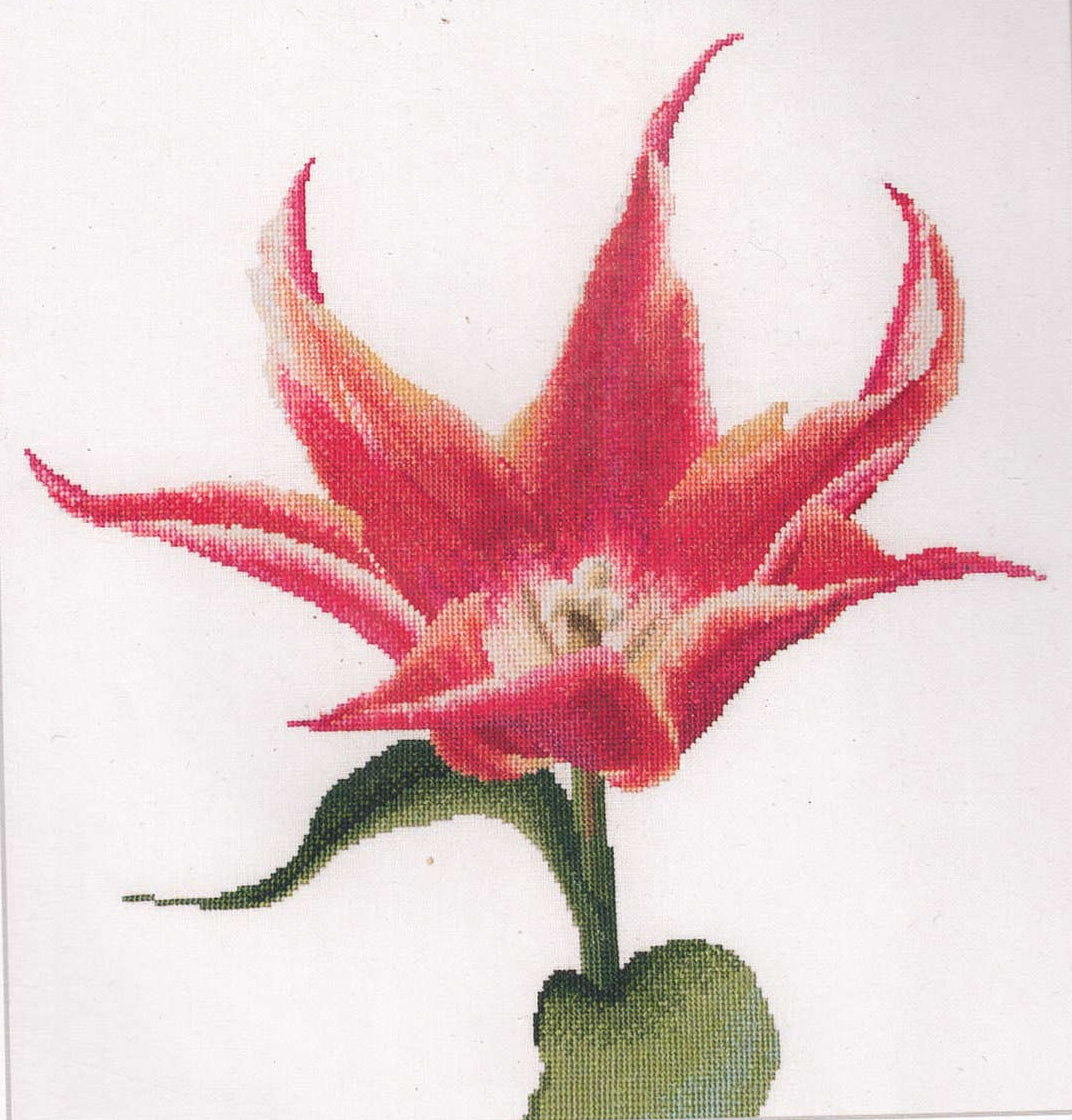 Tulips (close up series) in 18ct Aida / evenweave from Thea Gouveneur