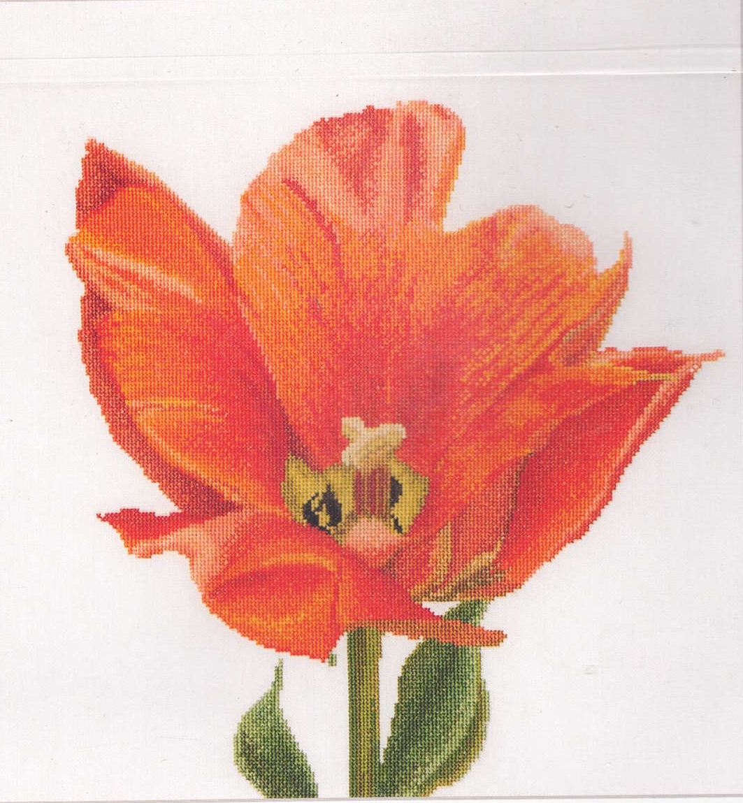 Tulips (close up series) in 18ct Aida / evenweave from Thea Gouveneur