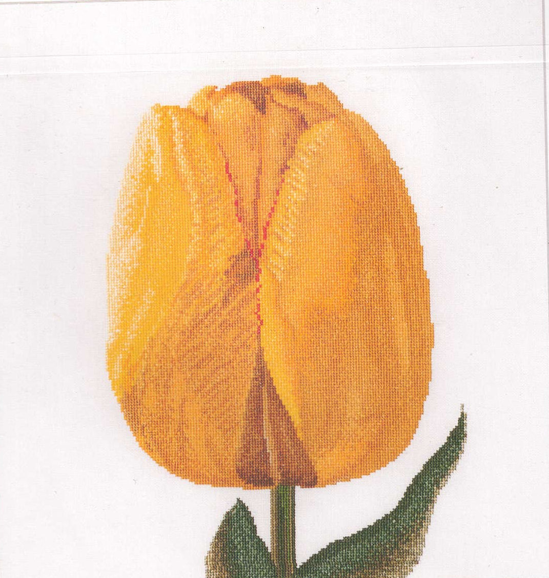 Tulips (close up series) in 18ct Aida / evenweave from Thea Gouveneur