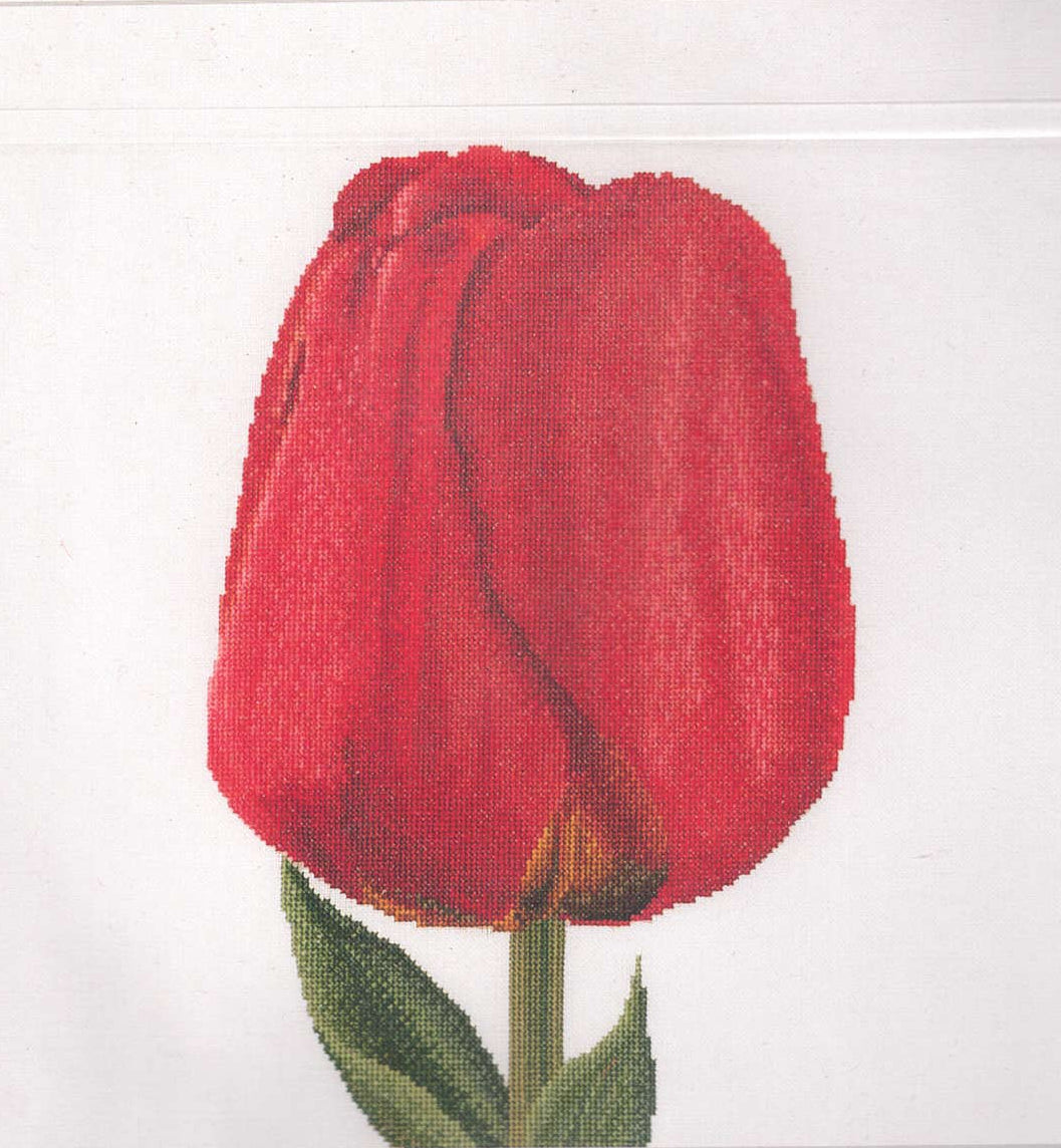 Tulips (close up series) in 18ct Aida / evenweave from Thea Gouveneur