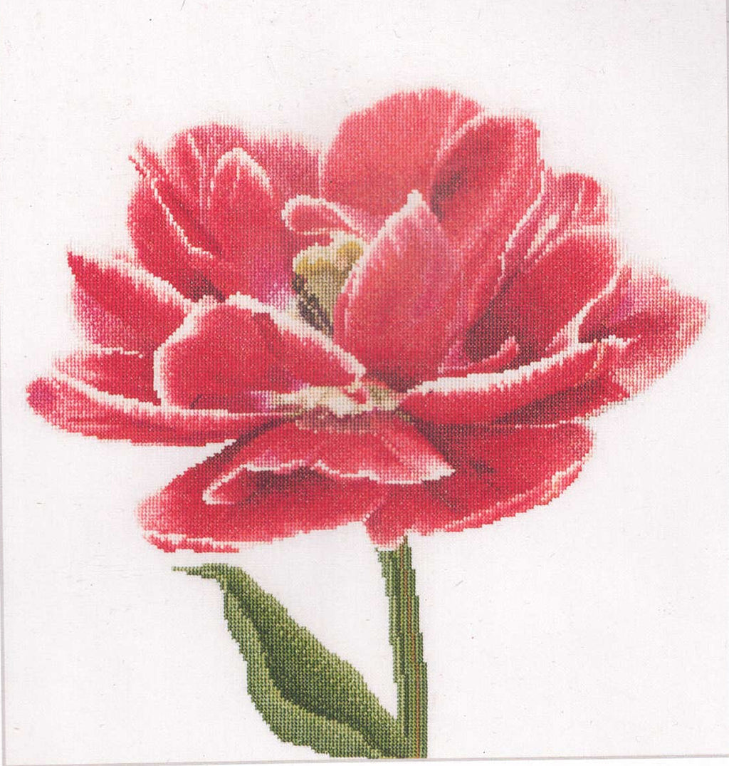 Tulips (close up series) in 18ct Aida / evenweave from Thea Gouveneur