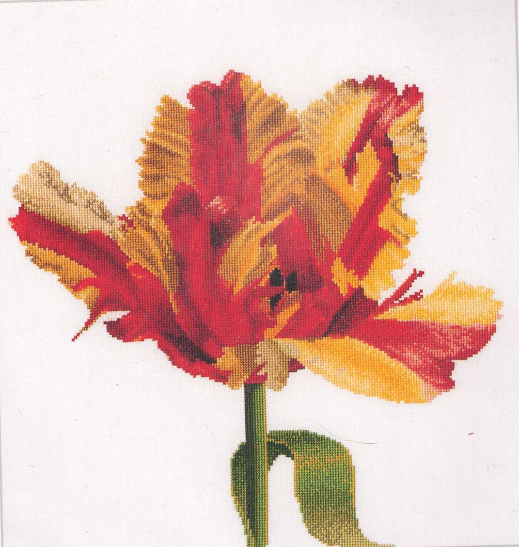 Tulips (close up series) in 18ct Aida / evenweave from Thea Gouveneur