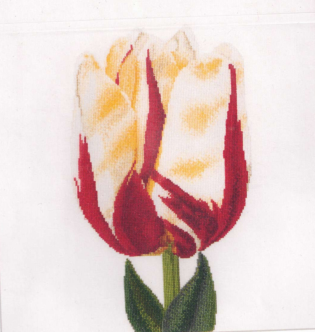 Tulips (close up series) in 18ct Aida / evenweave from Thea Gouveneur