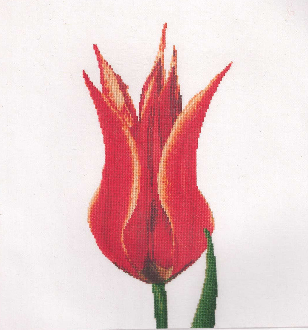 Tulips (close up series) in 18ct Aida / evenweave from Thea Gouveneur