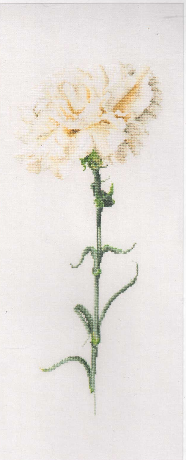 Carnations in 18ct Aida (black/white) or 36ct evenweave from Thea Gouveneur