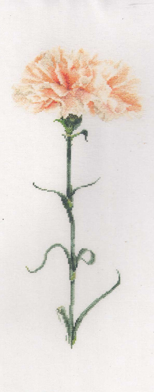 Carnations in 18ct Aida (black/white) or 36ct evenweave from Thea Gouveneur