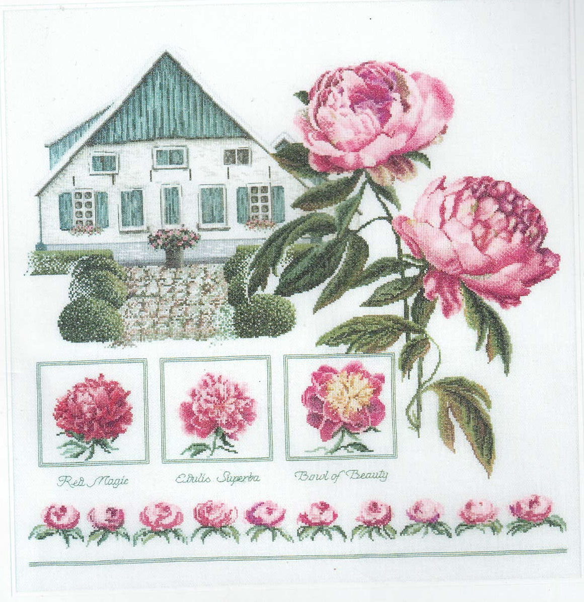 Peony (Boeren Pioenen) by Thea Gouverneur (448)