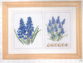 Floral Diptych in 18ct Aida / evenweave from Thea Gouveneur (Muscari, Crocus or Anemone)