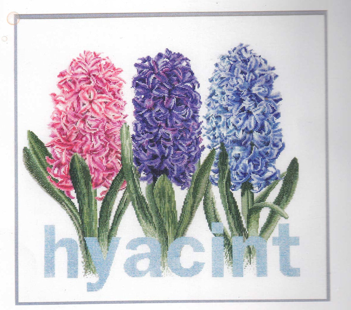 Hyacinth by Thea Gouverneur (434)