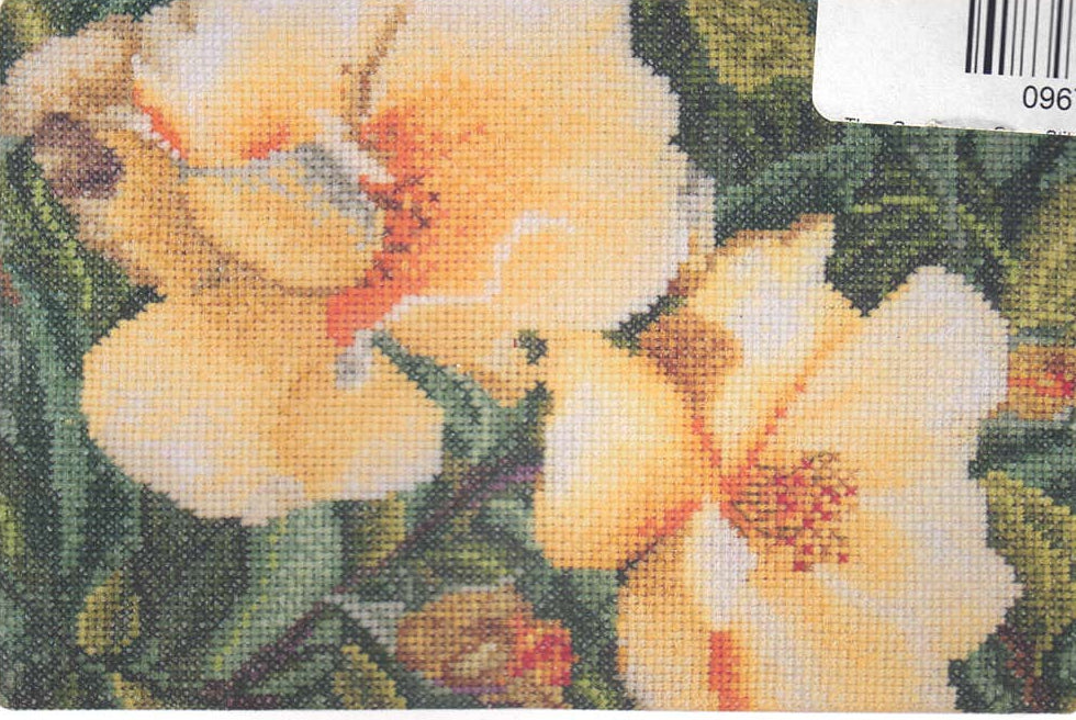 Roas Hugonis by Thea Gouverneur (428)