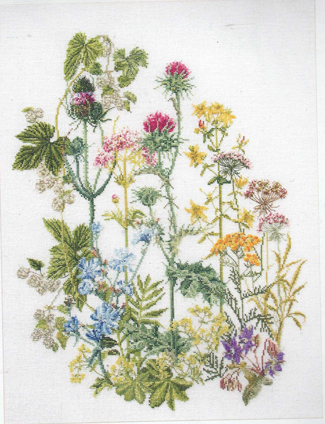 Herb Panel by Thea Gouverneur (424A)