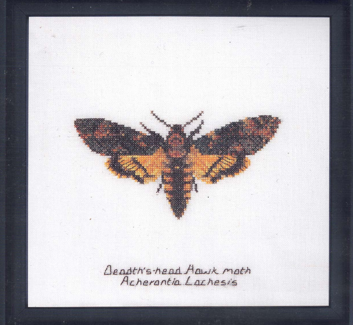 Moths in 18ct Aida / evenweave from Thea Gouveneur