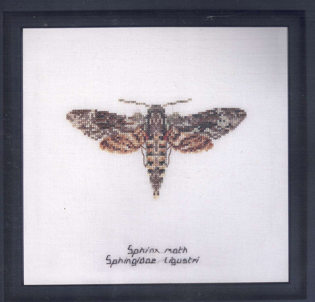 Moths in 18ct Aida / evenweave from Thea Gouveneur