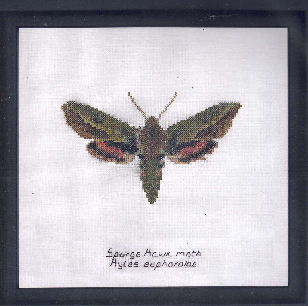 Moths in 18ct Aida / evenweave from Thea Gouveneur