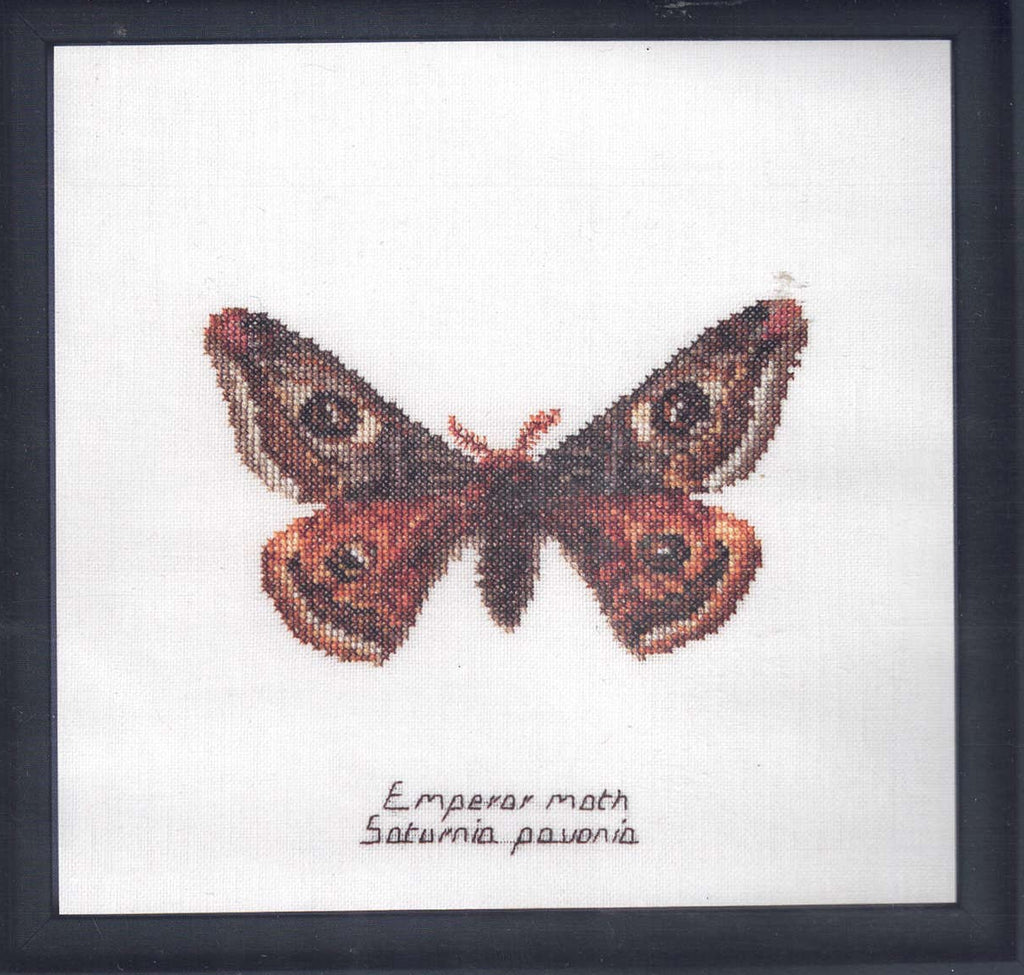 Moths in 18ct Aida / evenweave from Thea Gouveneur