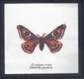 Moths in 18ct Aida / evenweave from Thea Gouveneur