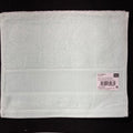 Rico Guest Towels with Aida Panels
