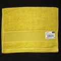 Rico Guest Towels with Aida Panels
