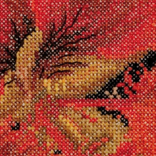 Flower Close Up Series in 18ct Aida from Thea Gouveneur