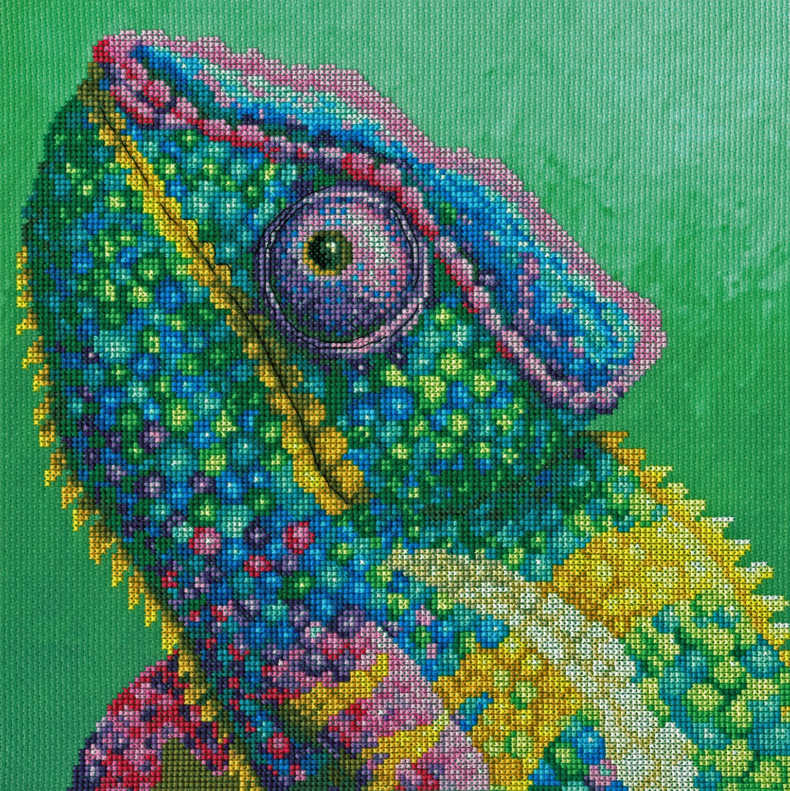 The Menagerie by Rachel Froud for Bothy Threads (Counted Cross Stitch)