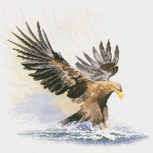 John Clayton's Flights of Fancy Eagle in Flight