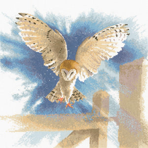 John Clayton's Flights of Fancy -Owl in Flight