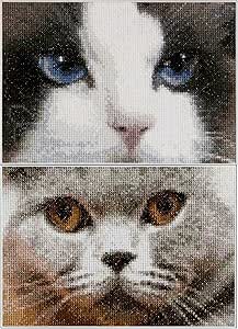 Cats Cross Stitch kits (2 cats per kit): Thea Gouveneur