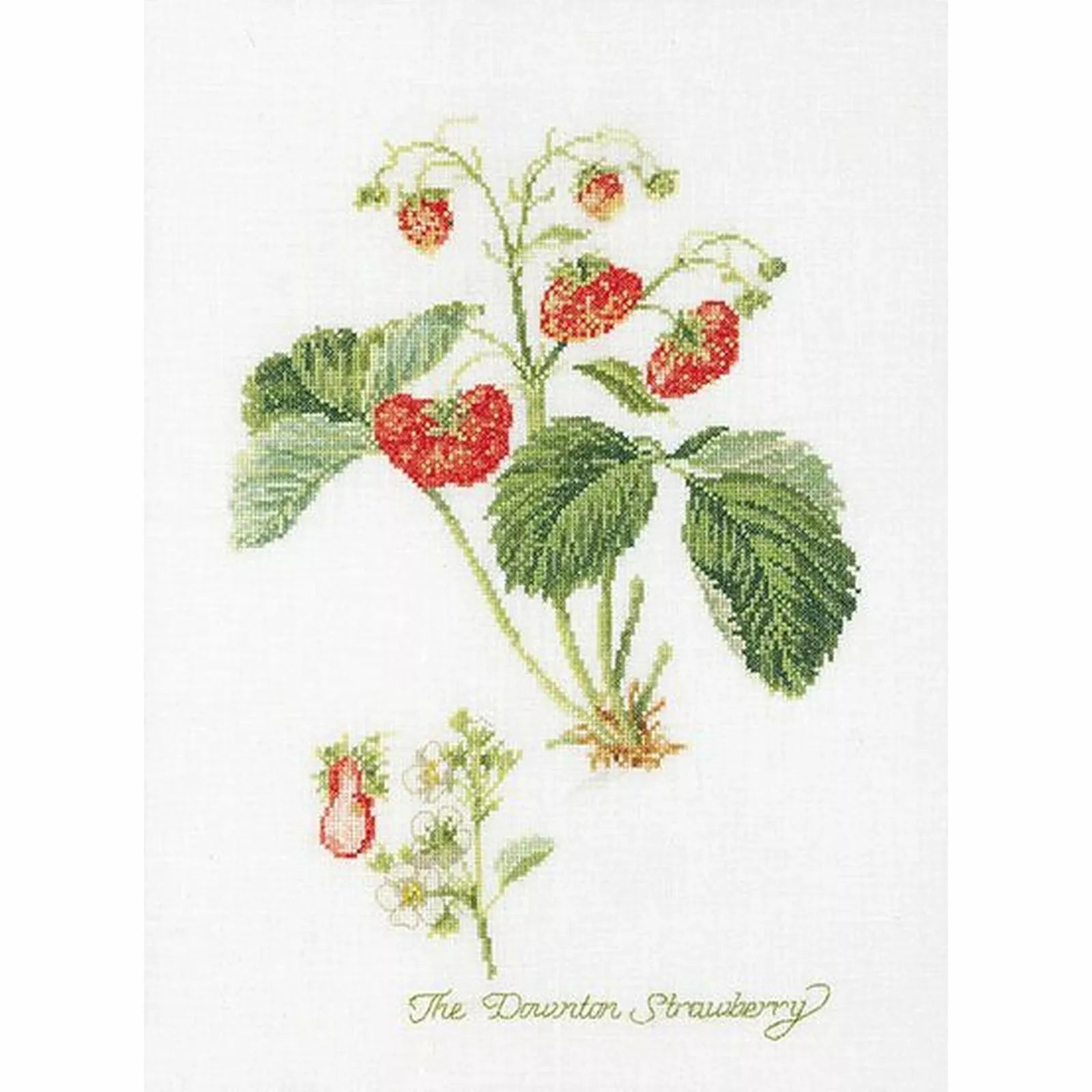 Aardbeien (Strawberries) from Thea Gouveneur