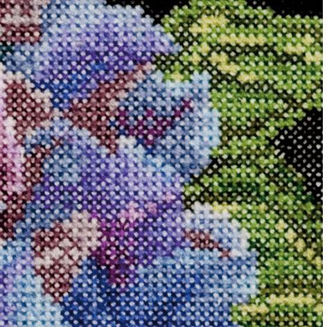 Flower Close Up Series in 18ct Aida from Thea Gouveneur