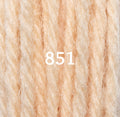 Custard Yellow 851
