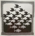 Bird-fish-permin-70-5341-black.jpg