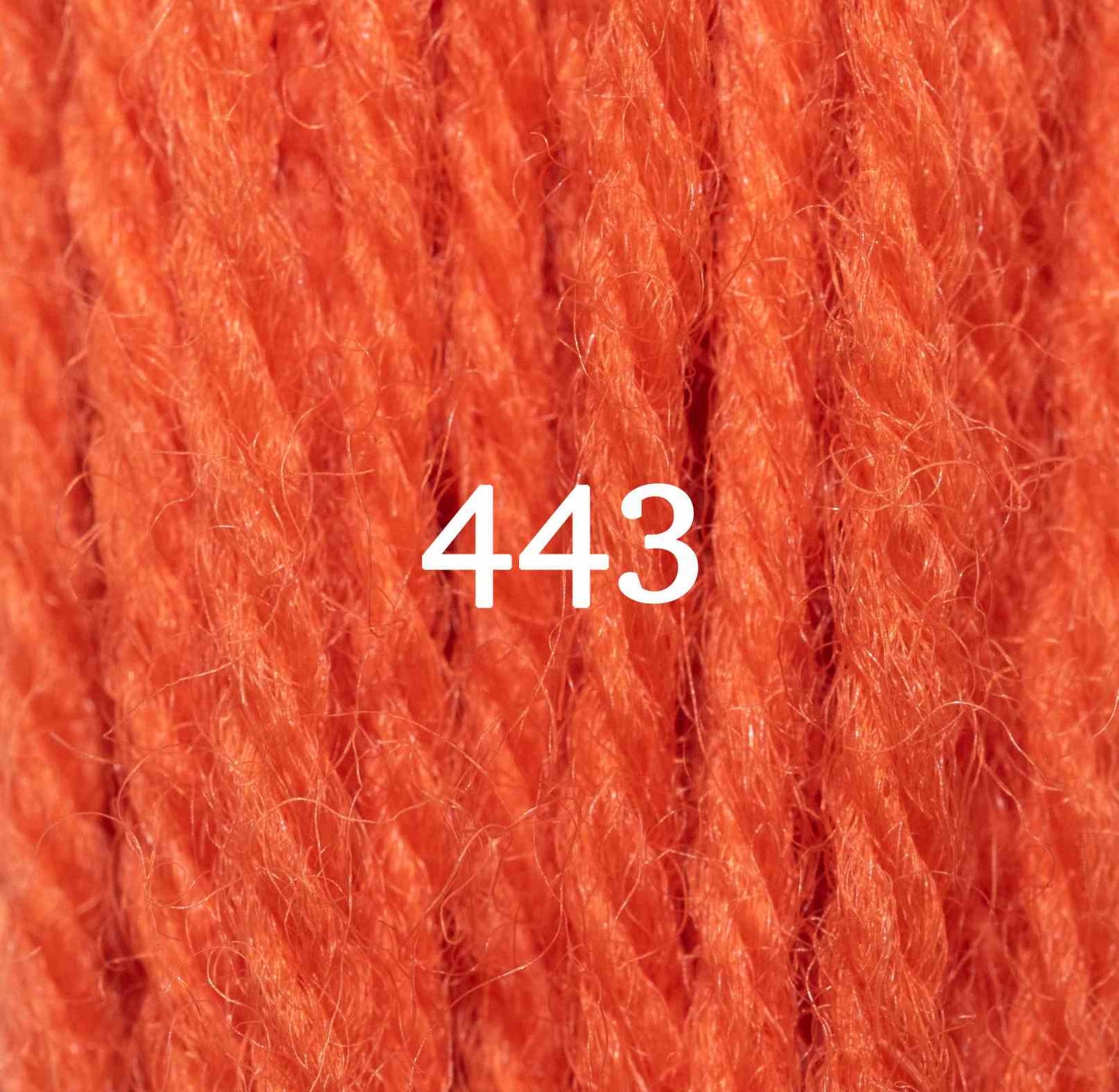Orange Red 443
