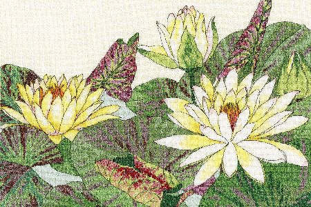 Bothy Threads Blooms - Waterlily.  One of a series of cross stitch kits developed from Japanese woodblock kits. The kit contains 14ct cream Zweigart Aida, pre-sorted stranded cottons, needle, stitch diagram and instructions.  Finished size 36cm x 24cm Kit uses full cross-stitch and back-stitch stitches