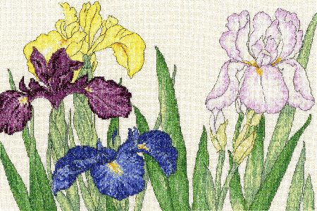 Bothy Threads Blooms - Iris.  One of a series of cross stitch kits developed from Japanese woodblock kits. The kit contains 14ct cream Zweigart Aida, pre-sorted stranded cottons, needle, stitch diagram and instructions.  Finished size 36cm x 24cm Kit uses full cross-stitch and back-stitch stitches