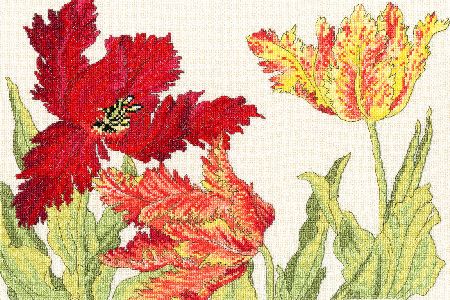 Bothy Threads Blooms - Tulip.  One of a series of cross stitch kits developed from Japanese woodblock kits. The kit contains 14ct cream Zweigart Aida, pre-sorted stranded cottons, needle, stitch diagram and instructions.  Finished size 36cm x 24cm Kit uses full cross-stitch and back-stitch stitches
