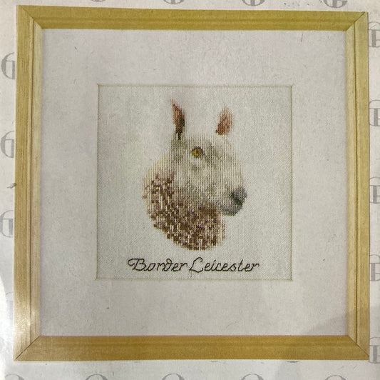 Thea Gouverneur Cross Stitch Kit (Aida) - Barber Leicester Sheep 2011