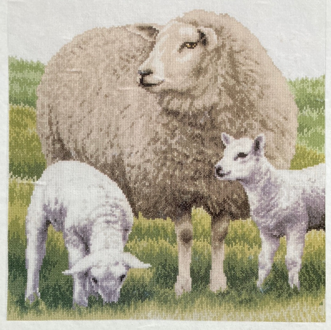 Lanarte Animals Cross Stitch Collection  - Sheep
