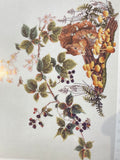 Squirrel & brambles cross stitch