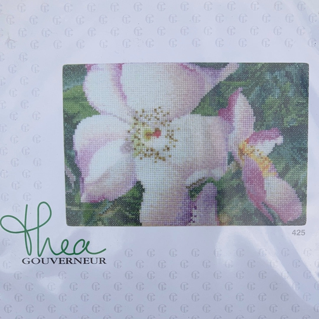 'New Face' Rose - Thea Gouveneur