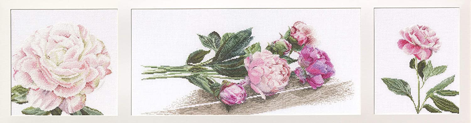 Thea Gouverneur - Peonies (Pioenrozen)